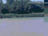 'It wasn’t human': Valley residents share encounters with San Benito 'Dogman'