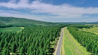 El país que creó el mayor bosque artificial del planeta Tierra, posee 4.5 millones de km