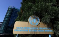 CO2 levels hit highest ever recorded, WMO says, warning of more extreme weather