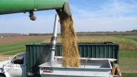Crece la demanda externa por la soja argentina: septiembre fue récord y se espera cerrar un gran trimestre