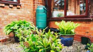 Is it illegal to collect rainwater in Iowa? What to know
