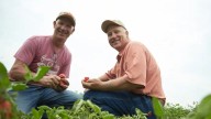 AcMoody Farms picks tomatoes for 30 years for Red Gold