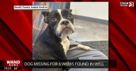 Lost dog found in well reunites with family after 6 weeks