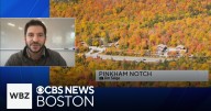 Weekend New England foliage forecast with Yankee Magazine's Jim Salge