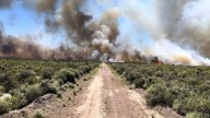 Se acerca el verano y advierten sobre posibles grandes incendios en Patagonia