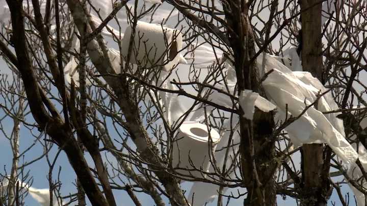 Feel Good Friday: The War of Toilet Paper in Alabama