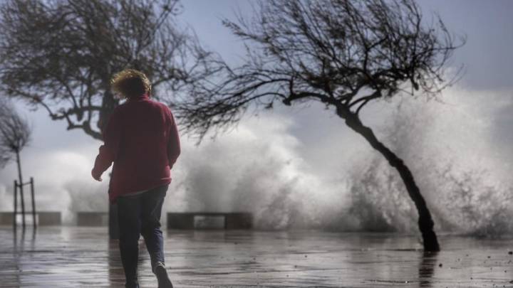 La Aemet activa la alerta en Mallorca por rachas de viento de 100 kilómetros por hora por la borrasca Benjamín