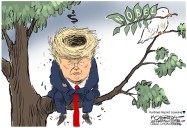 El Nobel de la Paz en el Macondo Trumpiano