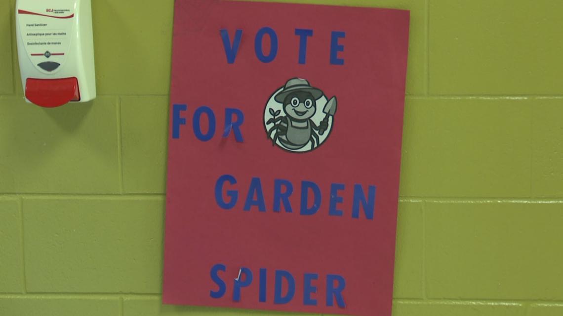 Spider spins a win in East Broadway’s garden mascot vote