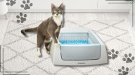 This PetSafe self-cleaning litter box is $40 off at Walmart this week