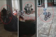 Video: en una misma tarde, robaron tres bicicletas de un edificio céntrico de Paraná