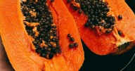 Si no eres fan de la papaya, existen formas fáciles y deliciosas de incorporarla a tu dieta diaria; te decimos cómo