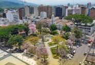 Procuraduría logra acción inmediata en Ibagué para evitar emergencia sanitaria