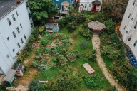 Boston’s Food Forests Take Root as a Climate Equity Strategy