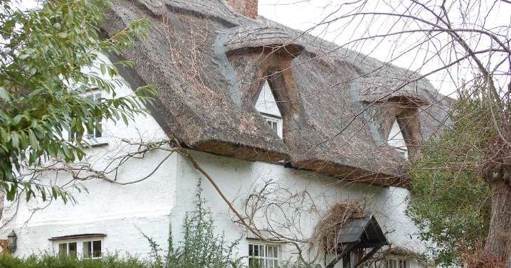 'Chocolate box' village just 8 miles from Cambridge named among best places to live