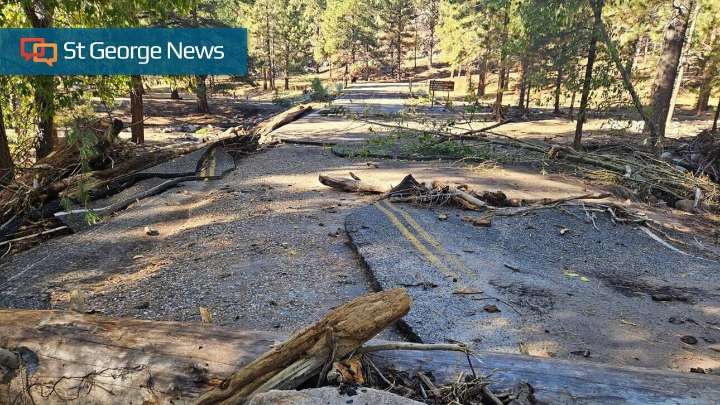 Flooding and debris flows cause damage, closure at Pine Valley Recreation Area