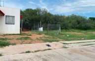 Recupera municipio de Parral áreas verdes usadas para guardar gallos