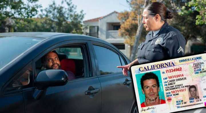 Confirman la PEOR NOTICIA: Estos son los conductores migrantes que pueden perder su licencia de conducir en 2025
