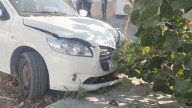 Joven de 21 años derriba árbol en Torreón al manejar a axceso de velocidad