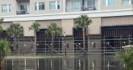 Diver goes for a swim in downtown Charleston flood waters