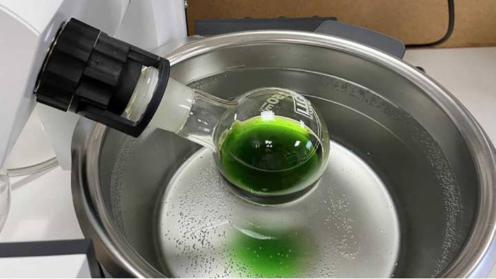 Investigadores del CITA impulsan un proyecto para desarrollar ingredientes cosméticos sostenibles