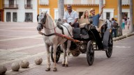 Málaga se despide de los coches de caballos: cuánto ha pagado el Ayuntamiento y qué pasará con los animales