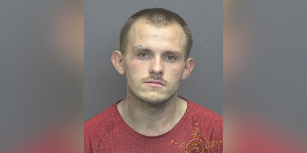 EPD: Driver crashes trying to avoid police, pregnant woman hurt