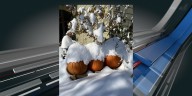 Recent October snowstorms