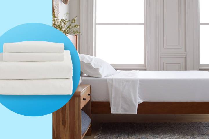 Shop Buttery Soft Quince Bedding for Fall