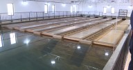 Orem water plant hosts tour on how potable water reaches taps two counties