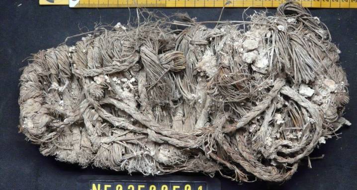 650-Year-Old Sandal Found In A Vulture's Nest In Spain