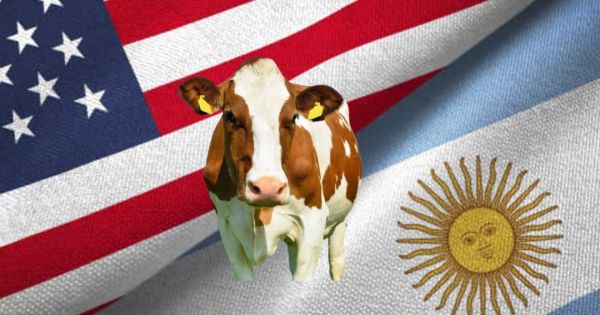 Desde Salta desmienten a EE.UU.: "Hace 20 años que en Argentina no existe la aftosa"