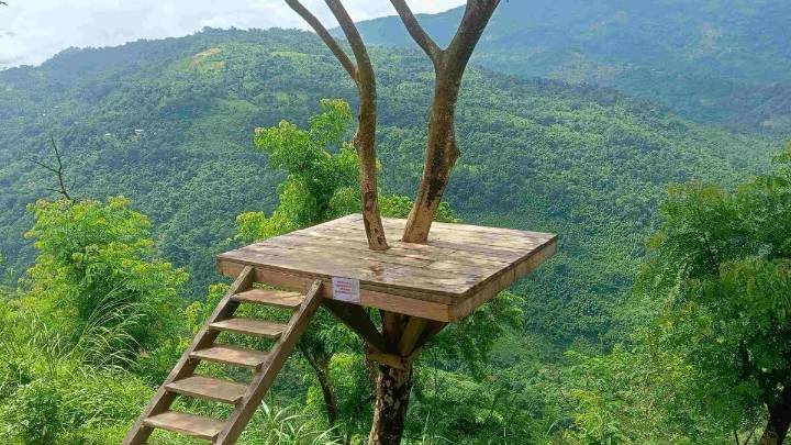Assam’s Jatinga Sheds 'Birds’ Suicide Site' Tag But Faces Other Challenges