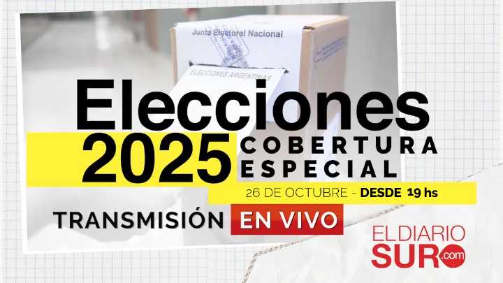 Elecciones 2025: cobertura especial de El Diario Sur y transmisión en vivo desde las 19 hs