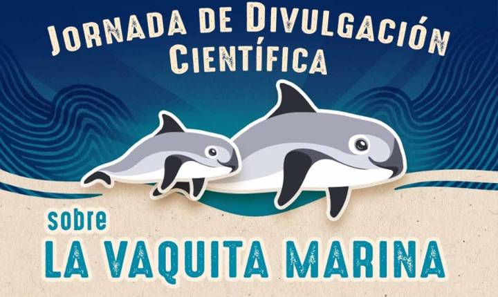 Delphinus y Planetario Káyok cancún aliados por la vaquita marina