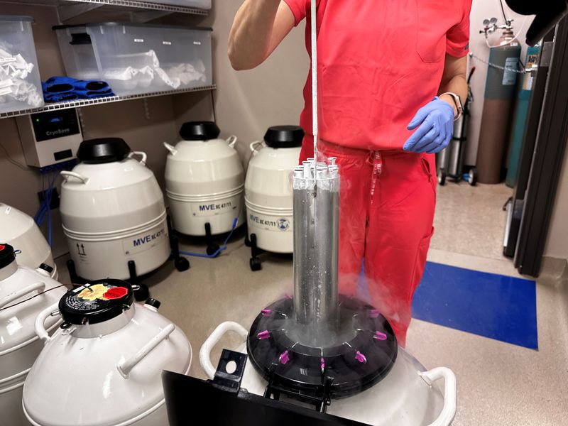 White House set to announce proposal seeking to make IVF more accessible, NYT reports