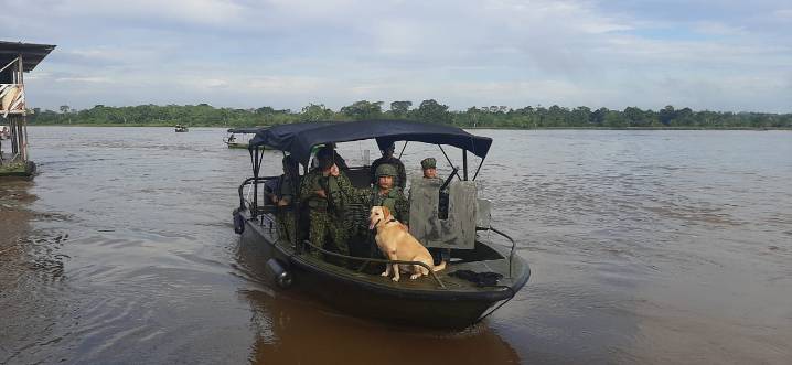 Con caninos antiexplosivos la armada garantiza la jornada electoral en la Amazonia