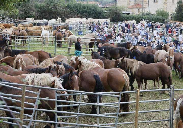 San Lucas de nuevo abarrotado en Honzayo