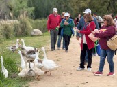 Adultos mayores de Pelarco en tour por Jardín Botánico