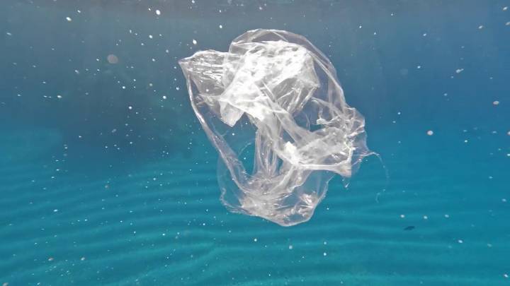 El inesperado cómplice de la contaminación: así es la 'nieve marina' que arrastra los plásticos al abismo