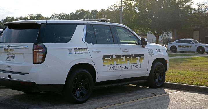 Ponchatoula teen accused of having gun on school property