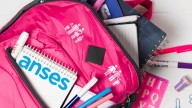 ANSES: la documentación necesaria para obtener la Ayuda Escolar Anual