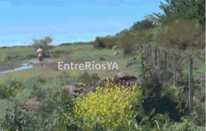 El lugar donde hallaron muerta a Daiana Magalí Mendieta