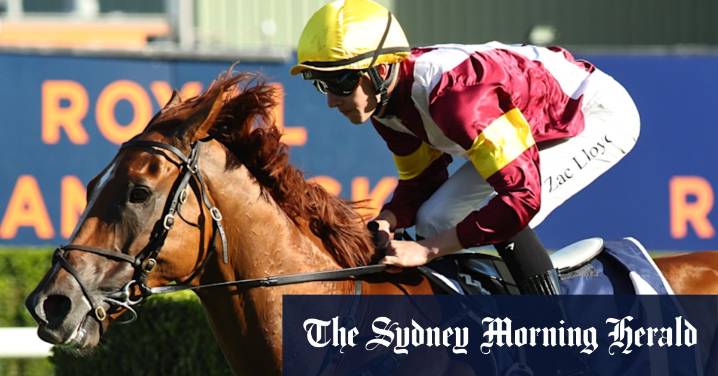 ‘I want the colours on him’: How owner landed Golden Eagle triple threat