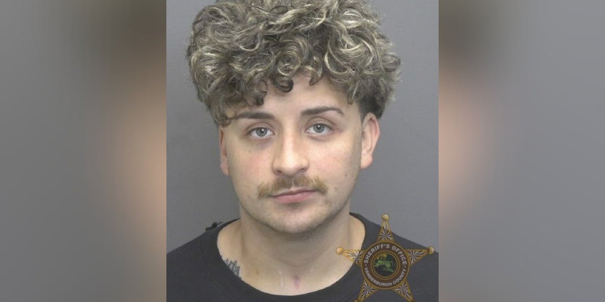 ‘I wasn’t doing a wheelie’: Motorcycle driver high at time of crash, deputies say