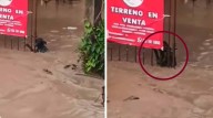 Perrito lucha por su vida durante inundaciones en Poza...