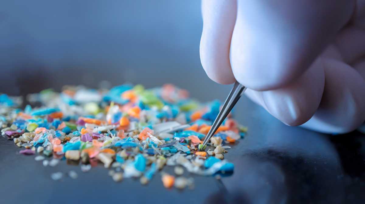 Solving the world’s microplastics problem: 4 solutions cities and states are trying after global treaty talks collapsed