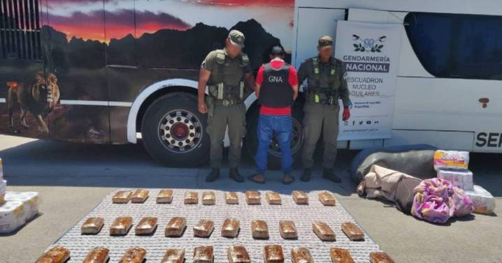 Marihuana camuflada entre frazadas: Gendarmería descubrió más de 31 kilos en un colectivo que iba de Salta a Mendoza