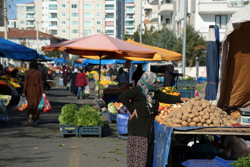 Turkey inflation up more than expected to 33.3% in test for cenbank