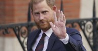 Chad ends ties with Harry charity for wildlife failures